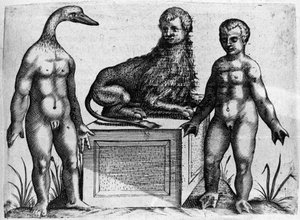 Différents types de monstres humains : un homme avec une tête de canard, un homme avec un corps de lion et un autre avec des mains en forme de palme. Gravure de « De monstrorum natura, causis et differentiis » par Fortunio Liceti (1577-1656), scientifique  - Italian School