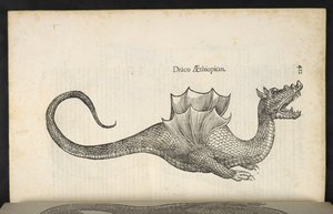 Dragon éthiopien, 