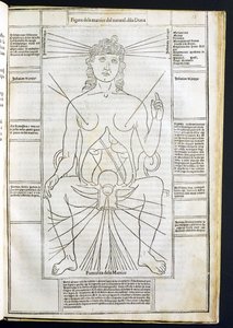 Anatomie féminine du Fasciculus Medicinae par Johannes de Ketham (d.c.1490) vers 1507