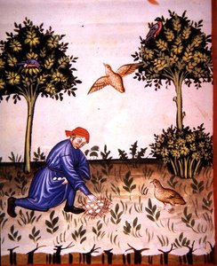 Fol.66v Collecte d