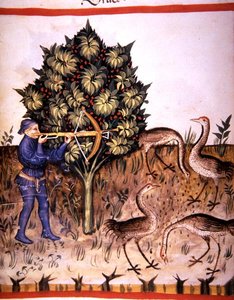 Fol.70v Chasse à la grue, illustration de 