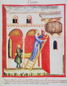 Vinaigre, illustration du Tacuinum Sanitatis Codex Vindobonensis - Italian School