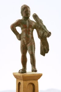 Hercule Juvenis