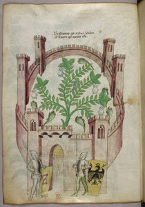 Illustration du jardin de baume du Caire (Fustat), avec sept bassins d