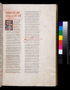 Ms 143. Grégoire le Grand, Registrum Epistolarum, f.8r. Initiale décorée [S] avec remplissage de feuilles de vigne blanches et fleurons - Italian School