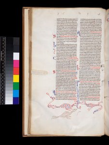 Ms 164. Pierre Lombard, Sententiae, f.15v. Décoration à la plume en bas de page développée en hybrides oiseau/dragon - Italian School
