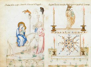 Ms 43-1950 fol.3v La Fuite en Égypte, du Speculum Humanae Salvationis - Italian School