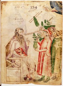 Ms Lat 6823 fol.1 Hommes présentant des plantes à un homme inconnu, de De Herbis par Manfredus de Monte Imperiali