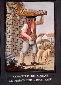 Métiers napolitains : le vendeur de cerises de Marasca