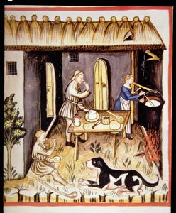 Préparation du fromage blanc, de Tacuinum Sanitatis
