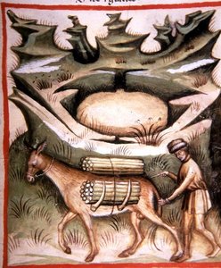Nova 2644 fol.90r Neige et glace, de 