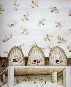 Ruches, de Tacuinum Sanitatis