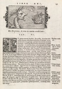 Page 735 de Historia De Gentivus Septentrionalibus par Magnus Olaus, Rome 1565 - Italian School