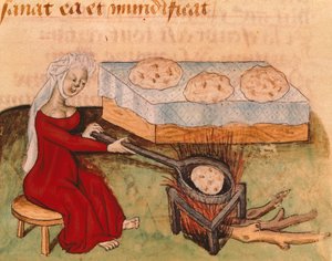 Page du Tractatus de Herbis par Dioscoride Pedanius