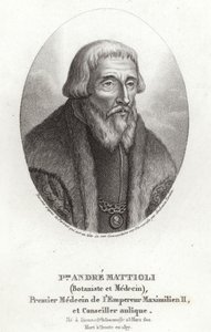 Pietro Andrea Mattioli - Italian School