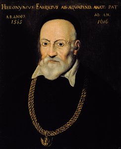 Portrait de Hieronymus Fabricius