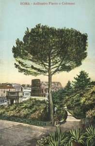 Rome, Italie, Amphithéâtre et Colisée (lithographie couleur) - Italian School