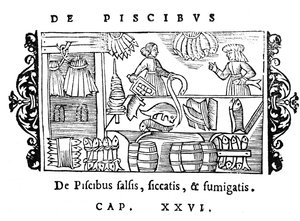 Salage, séchage et fumage du poisson, illustration de Historia de Gentibus Septentrionalibus par Olaus Magnus (1490-1558), publié à Rome, 1555