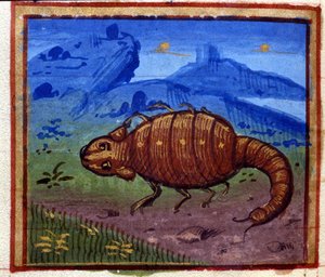 Signe du Scorpion. Horoscope italien, milieu du 15ème siècle.