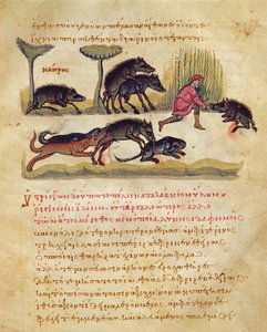 Traité sur le sanglier : vie, accouplement, chasse, illustration du Cynegetica par Oppian