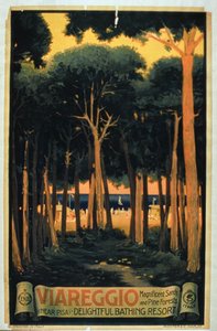 Viareggio", publié par Richter et Cie, Pise, italien (lithographie en couleurs) - Italian School