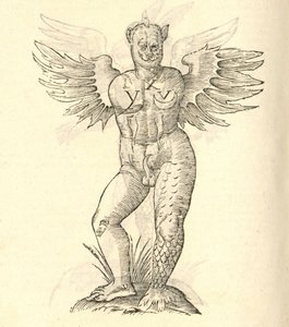 Illustration de Monstrum cornutum, et alatum aliud de l