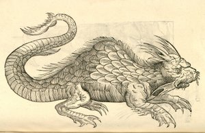 Illustration de Orobonis Piscis effigies de l