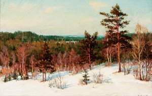 Hiver - Vue sur la forêt