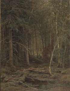Arrière-pays