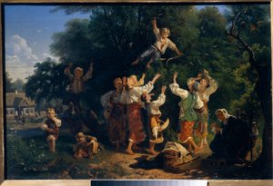 La cueillette des cerises dans le verger d
