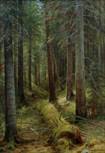 Dans la forêt russe