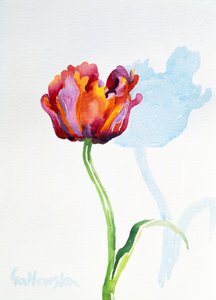 Tulipe