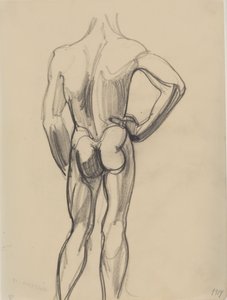 Modèle masculin, vu de dos