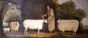 Un berger avec son troupeau - J.D. Curtis
