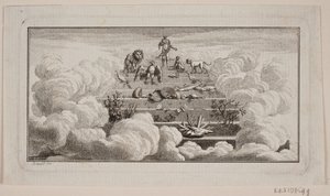 Les animaux supérieurs et inférieurs
