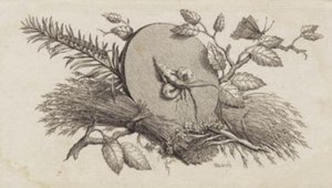 Un disque rond incliné parmi des feuilles et des insectes