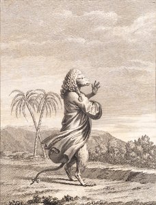 Un singe martiniquais - J.F. Clemens