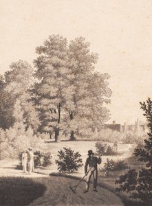 Jardin de Nordfeldt - J.F. Clemens