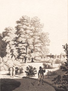 Le jardin de Nordfeldt