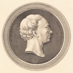 Médaillon en relief avec portrait de Bonnet