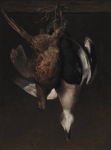 Gibier. Un faisan et un eider