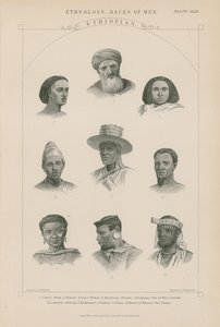 Neuf visages de personnes éthiopiennes - J.L. Williams