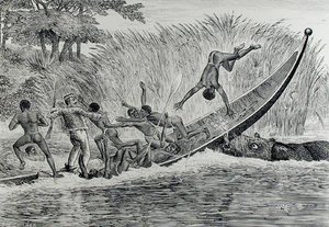 Hippopotame enragé renversant un bateau - J.M. Corner