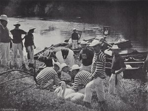 Swan upping sur la Tamise, marquage