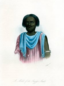Un Melik des Arabes Shegyia, vers 1840