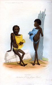 Patet, Australiens de King Georges Sound, 1848