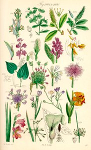 Page d