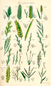 Page d