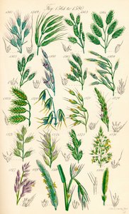 Page d