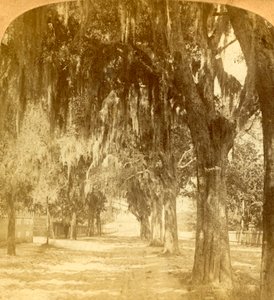 Entrée de Saint-Augustin, Floride, États-Unis, 1901